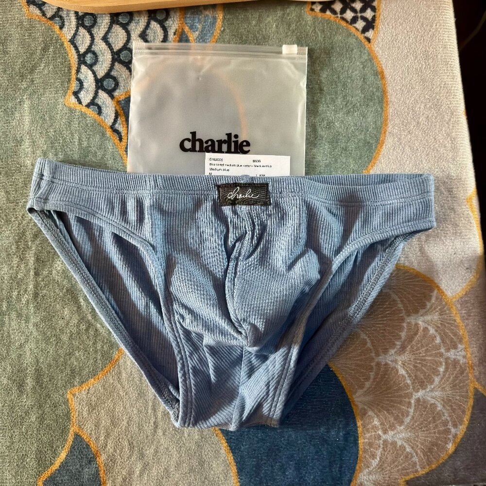 Charlie by Matthew Zink.  Bikini Brief. Medium Blue. Size: Medium. NEW.